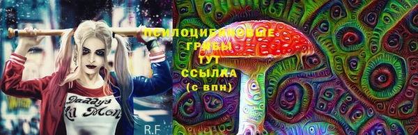 трава Зеленокумск