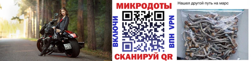 дарнет шоп  Завитинск  кракен ССЫЛКА  Галлюциногенные грибы Psilocybe 